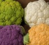 Cauliflower Chefs Choice Mix 